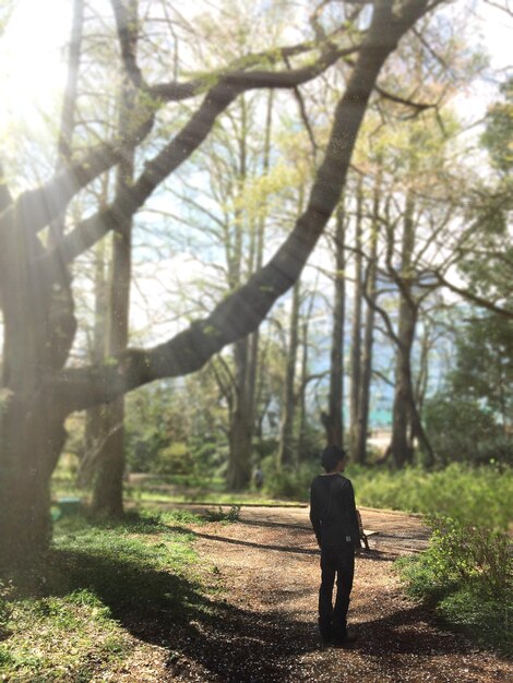 Nature Walks: New Study Reveals 15% Cortisol Reduction