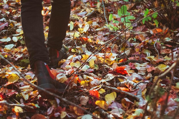 A close-up shot of a person's feet walking on a forest trail covered in fallen leaves. The focus is on the texture of the leaves and the act of walking in nature.