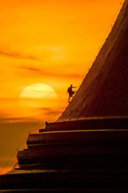 Cultivating Resilience: 4 Strategies for Bouncing Back Stronger