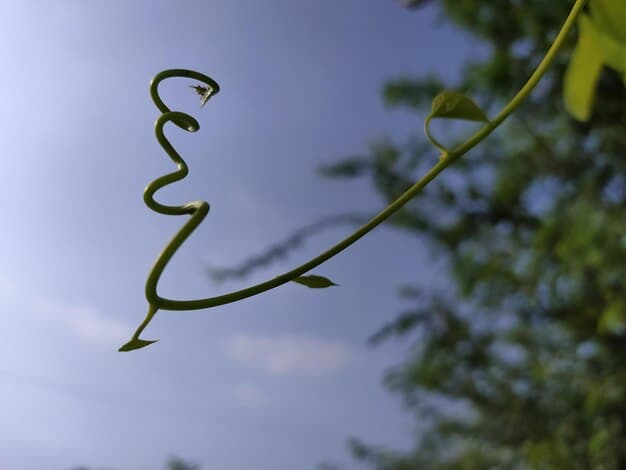 Close-up of a sapling bending in strong wind but not breaking, symbolizing flexibility and endurance. Focus on the resilience of nature.