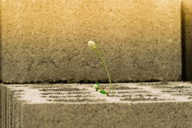 A plant growing through concrete, symbolizing resilience and the ability to thrive in difficult circumstances.