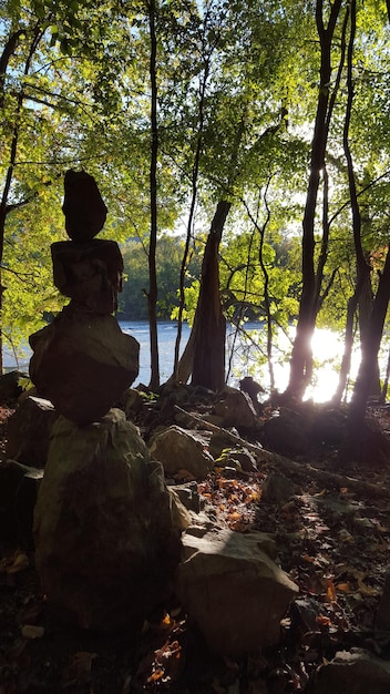 A person sitting in a yoga pose in nature, meditating with closed eyes. Sunlight filters through the trees, creating a peaceful and serene atmosphere.