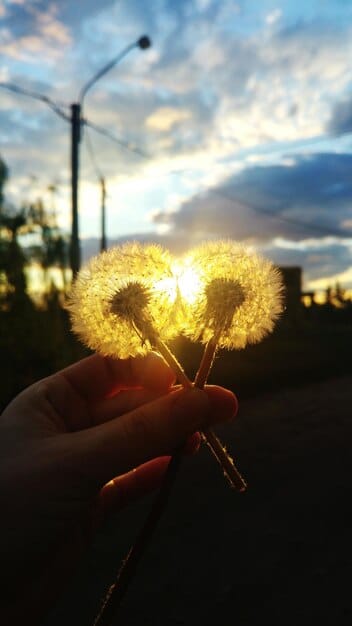 The Art of Forgiveness: Letting Go and Moving Forward