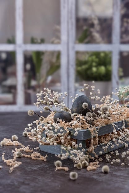 A selection of natural stones and gravel, including various sizes and textures of rocks, fine white gravel, and a small potted bonsai tree.
