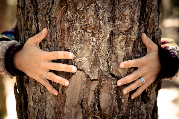 Close-up shot of hands gently touching the bark of a tree, emphasizing the tactile experience and connection with the earth.