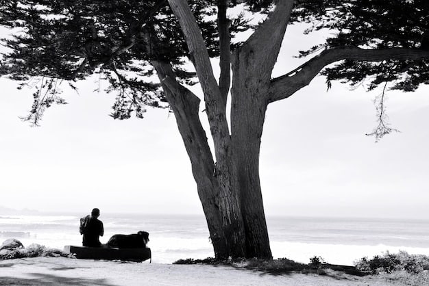 The Art of Zen Storytelling: Finding Wisdom Through Narratives