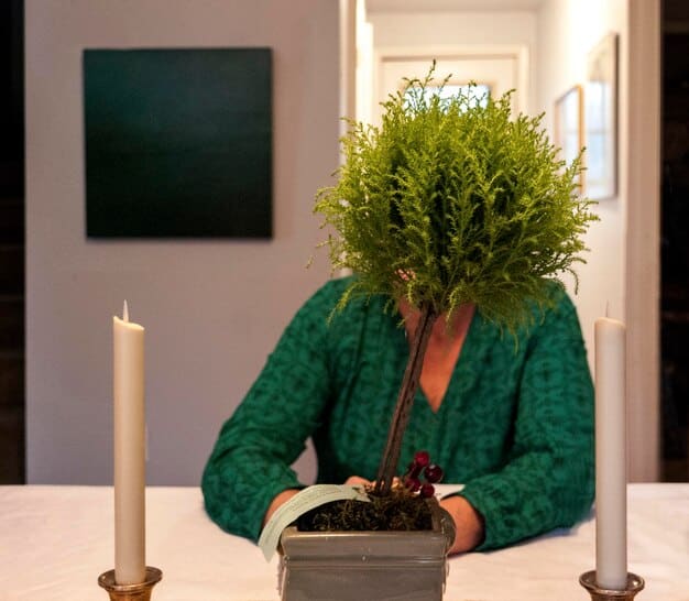 An image showing someone watering a small bonsai tree, representing nurturing growth and the beauty of simplicity, highlighting a Zen approach to life and finances.