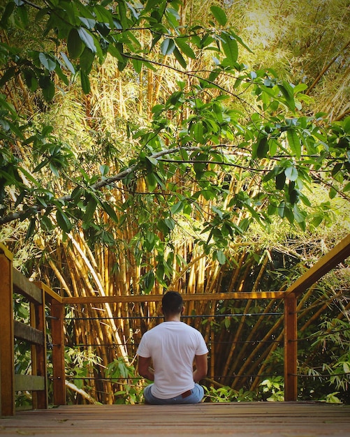 Zen & Emotional Intelligence: A Guide to Self-Awareness and Empathy