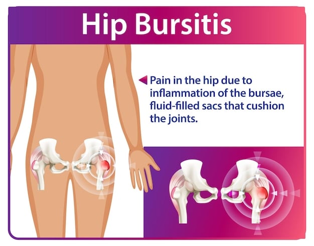 A detailed anatomical diagram of the hip joint, highlighting the key muscles involved in hip movement, such as the psoas, glutes, and hamstrings. The diagram is overlaid on a gentle, supportive yoga pose where the hips are subtly engaged.