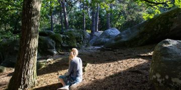 Unlock Stress Relief: Nature's Power in 30 Minutes - Cover Image