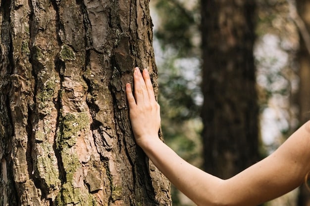 A close-up shot of a person's hand gently touching the bark of a tree in a forest, emphasizing the tactile connection with nature and its potential to reduce stress.