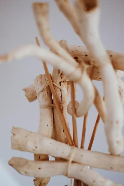 A close-up shot of ashwagandha roots and powder, showcasing its natural form and texture. The image should highlight the earthy tones and organic nature of the herb.