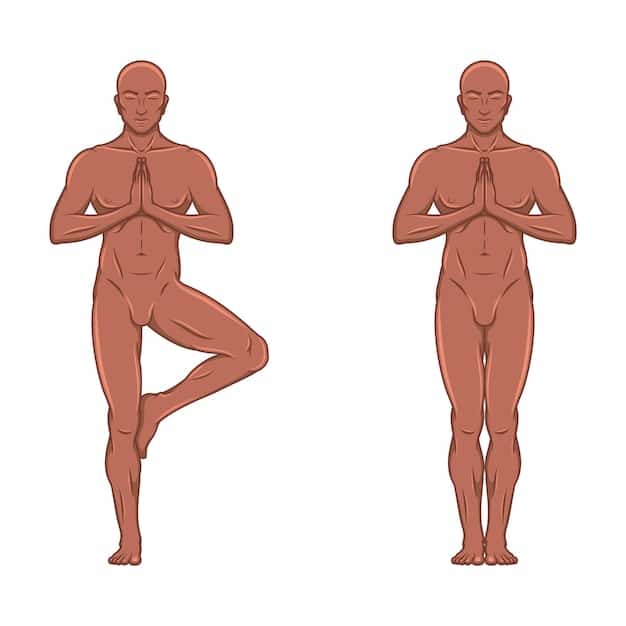 A detailed illustration of the correct Zazen posture: a straight spine, hands folded in the cosmic mudra, and eyes slightly open, focusing on a point in front.