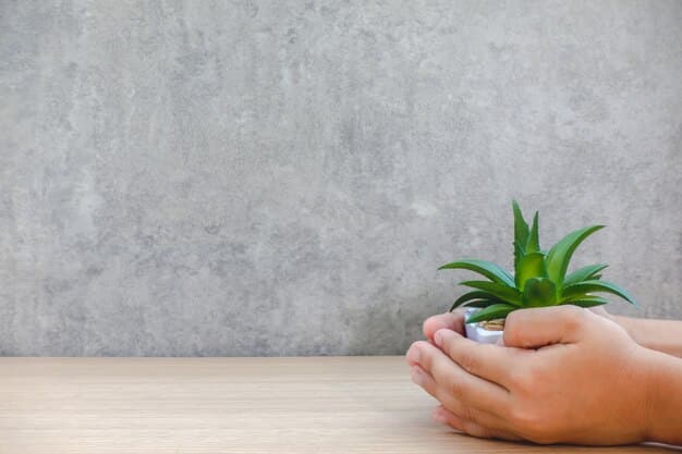 A close-up of hands gently holding a small succulent plant on a clean, minimalist desk in an office environment. The background is blurred, showcasing a serene workspace.