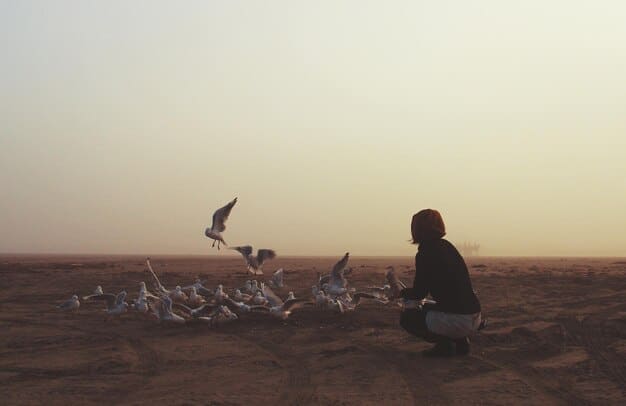 A person sitting in a meditative pose, seemingly releasing a flock of birds into the sky. The birds symbolize worries and attachments being freed.
