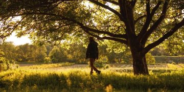 Mindful Walking: Transform Your Commute into Zen Meditation - Cover Image