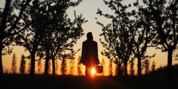 The Benefits of Silent Retreats: Find Inner Peace with Zen - Cover Image