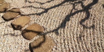 Zen and Forgiveness: Find Peace Through Letting Go - Cover Image