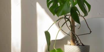 The Zen of Simplicity: Find More Space by Living with Less - Cover Image