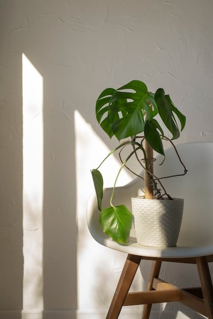 The Zen of Simplicity: Find More Space by Living with Less