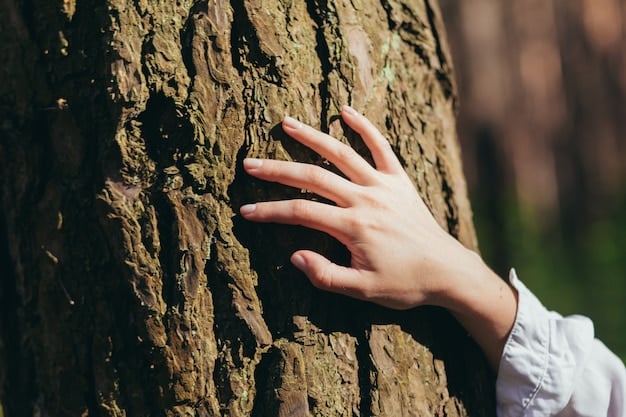 A close-up shot of a person's hand gently touching the bark of a tree in a forest, symbolizing a connection with nature and its calming effect.