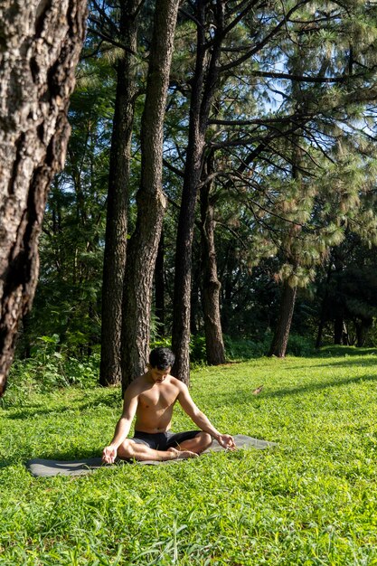 A person practicing yoga outdoors on a sunny day, surrounded by lush greenery, achieving a sense of peace and mindfulness.
