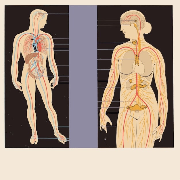 A diagram illustrating the autonomic nervous system, highlighting the sympathetic and parasympathetic branches and their respective effects on the body. The diagram should be clear, concise, and visually appealing.