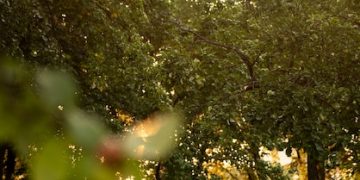 Beyond Yoga: Top 3 Movement Practices for Stress Relief in 2025 - Cover Image