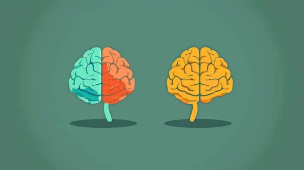 Two brains are shown in a side-by-side comparison. One brain is labeled 