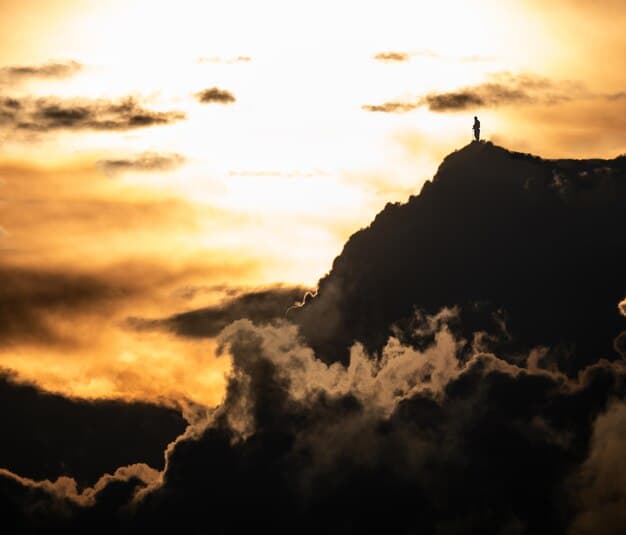 Cultivate Resilience: Thrive Through Challenges