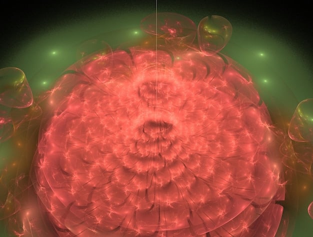 Brain scan visuals highlighting areas activated during meditation, particularly the prefrontal cortex and amygdala, illustrating the neurological impact of mindfulness practice.