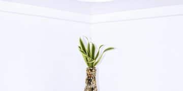 Declutter Your Mind & Home: A 7-Day Zen Challenge for US Residents - Cover Image