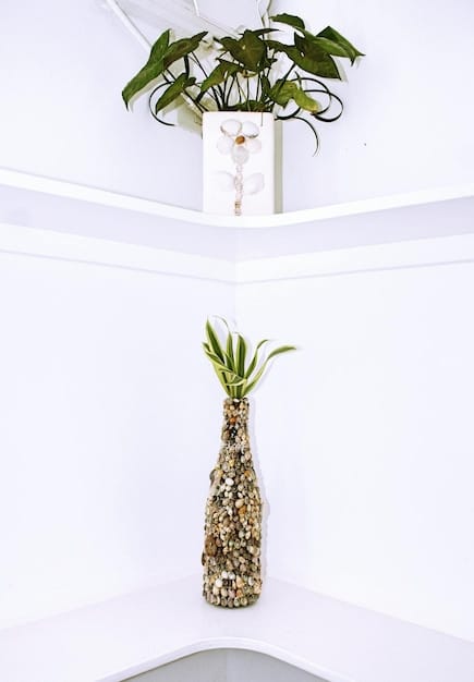 Declutter Your Mind & Home: A 7-Day Zen Challenge for US Residents