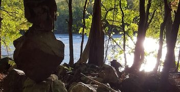 Zen & Nature: Boost Your Mood 25% with 30 Minutes Outdoors - Cover Image