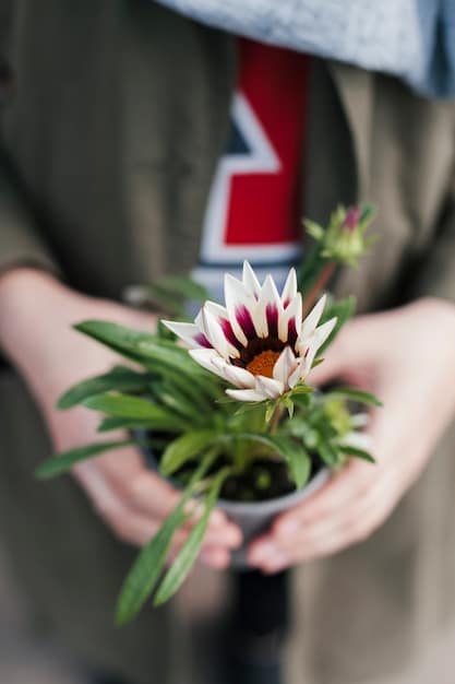 A close-up shot of hands gently planting a seedling in rich soil, with blurred greenery in the background suggesting a garden or park.