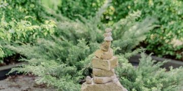 The Art of Letting Go: A Zen Guide to Inner Peace - Cover Image
