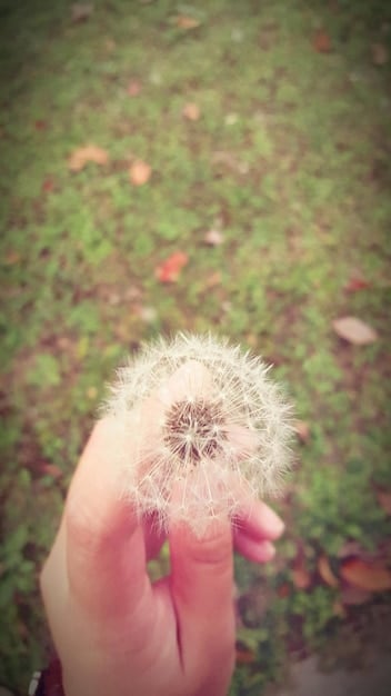 A close-up of an open hand gently releasing a single dandelion seed into the wind. The background is blurred, suggesting movement and the freedom of letting go. The sky is a soft blue, conveying a sense of peace and optimism.