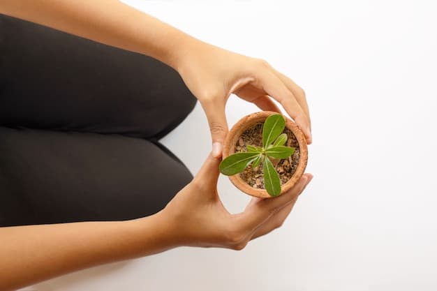 A close-up of hands holding a small plant seedling, symbolizing growth, gratitude, and nurturing care. The background is blurred, emphasizing the focus on the act of planting and appreciation for nature.