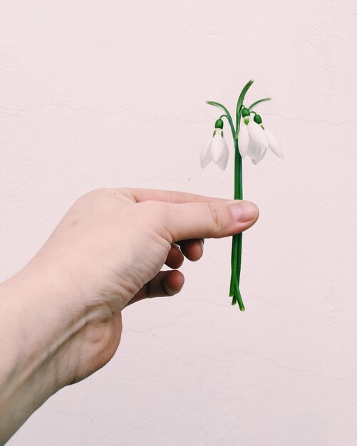 A person's hands gently holding a single, freshly picked flower. The flower is slightly imperfect, with a few petals slightly damaged. The background is soft and blurred, highlighting the flower's natural beauty.