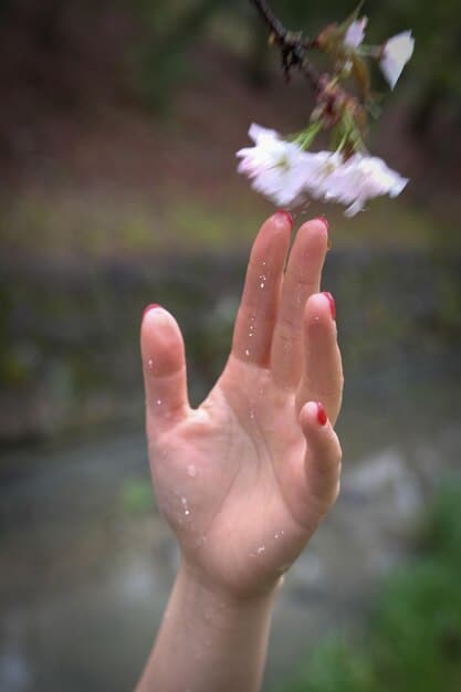 A close-up shot of hands gently releasing a handful of flower petals into a flowing stream, symbolizing the act of letting go of resentment and past hurts.